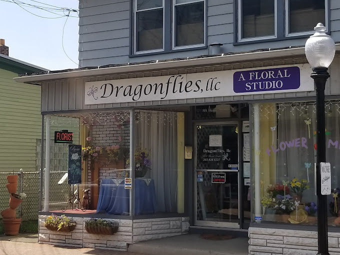 Dragonflies Floral Studio